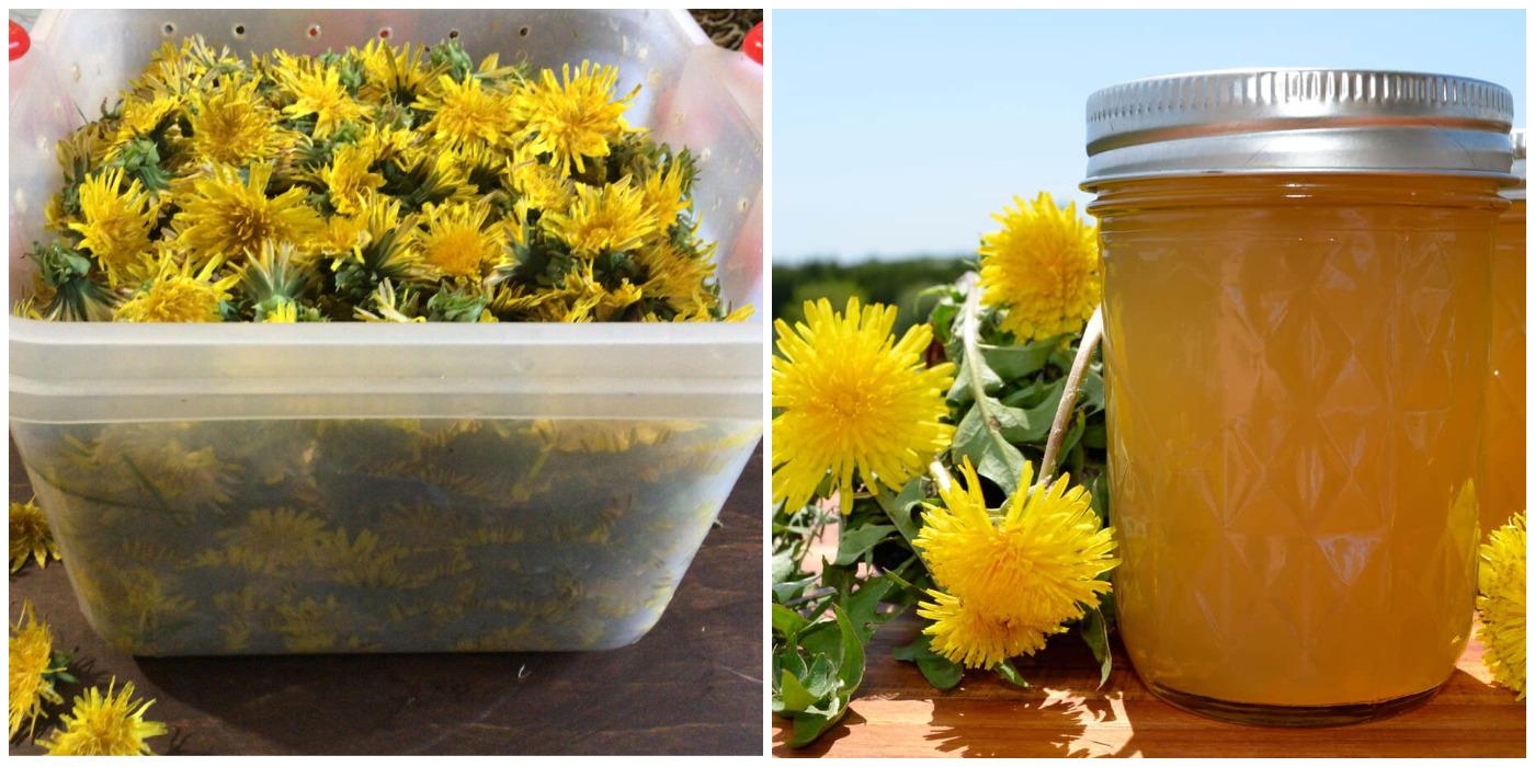 Варення з кульбаби і лимоном незвичайно смачно і корисно