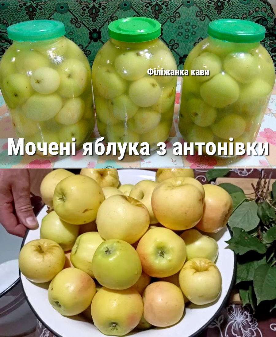 Готуємо мочені яблука з антонівки на зиму: рецепт старий перевірений роками, як в дитинстві, виходять настільки смачні і ароматні, що не можливо відірватись
